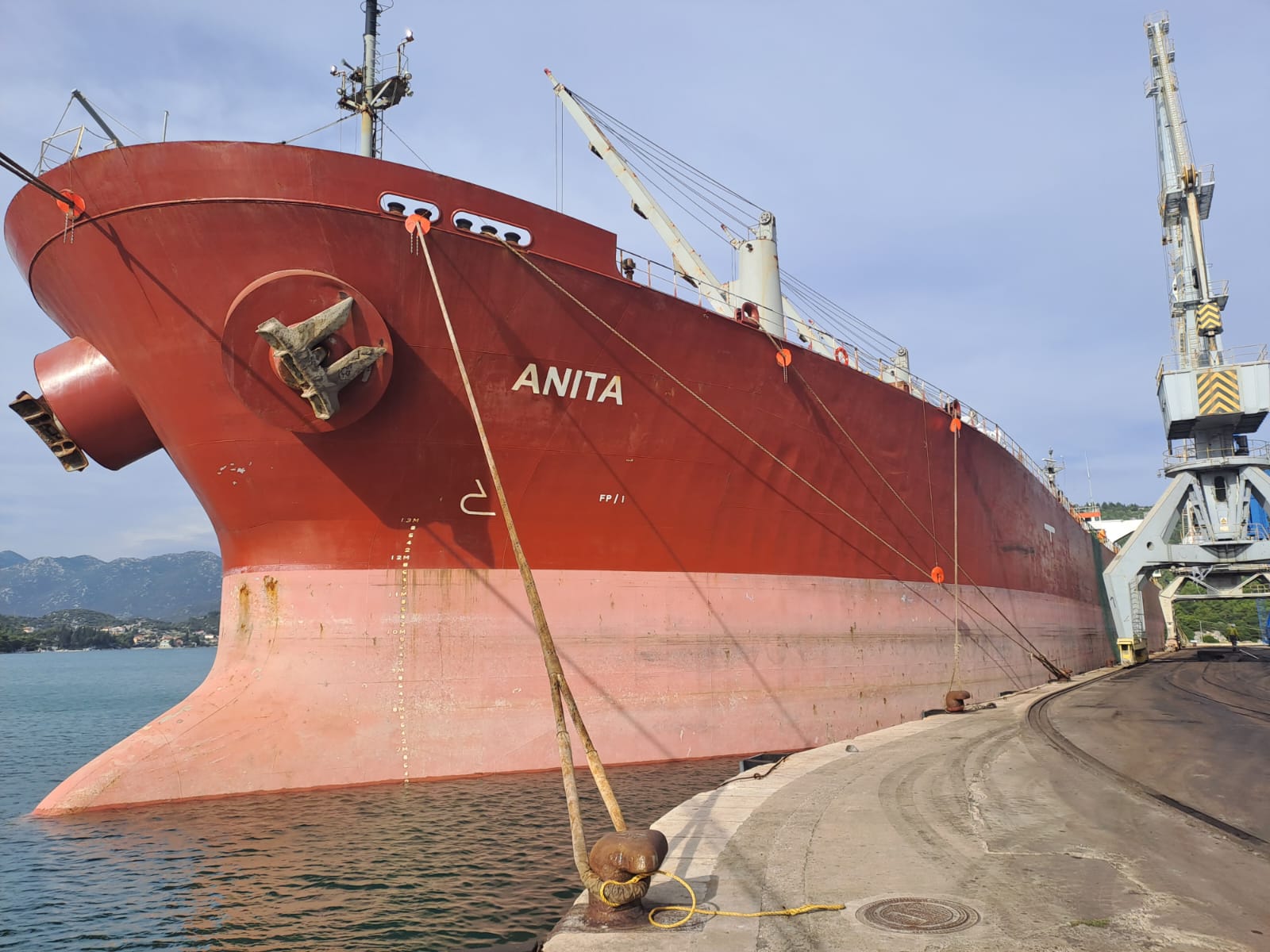 WhatsApp Image 2022-11-03 at 10.17.44 (1)